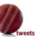 Cricket Tweets 2011: WorldCup Edition - Twitter updates and WorldCup n